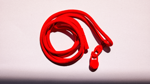 A lanyard on a phone in 2025 Surprisingly handy, and a little daring