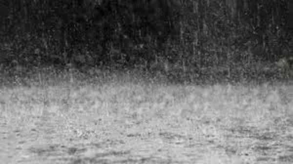 IMD forecasts more rain in Gujarat over next 24 hours