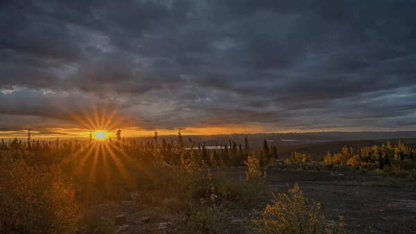 yukon