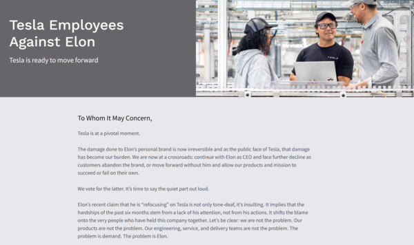 A screengrab of Tesla Employees Against Elon website that Matthew LaBrot claims he created