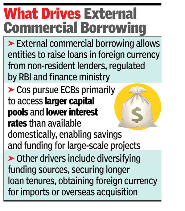 External commercial borrowed what driving Borrowed 5-IR abroad grows up to high levels