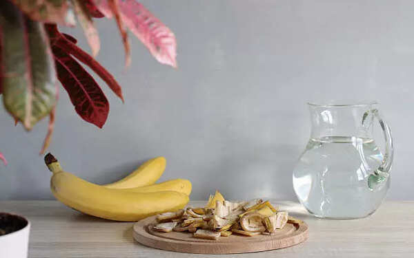 Banana Peel for hair: How to use Banana Peel to increase hair growth | -  Times of India