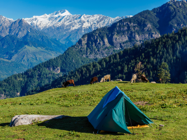 camping in tirthan