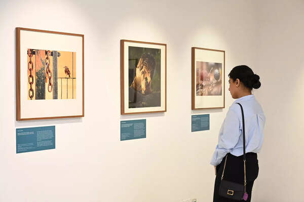 British Council and NHM Wildlife Photographer of the Year Exhibition_3