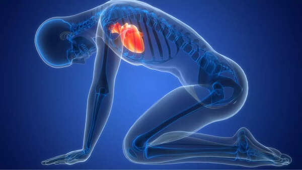 Katta kokrakli yalangoch ayollarning fotosuratlari