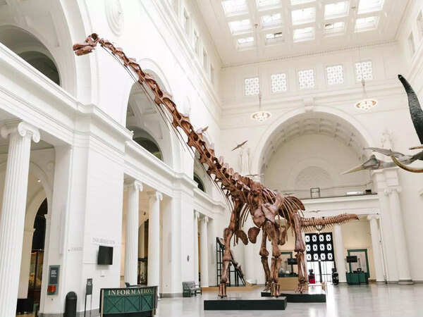 museum maximo