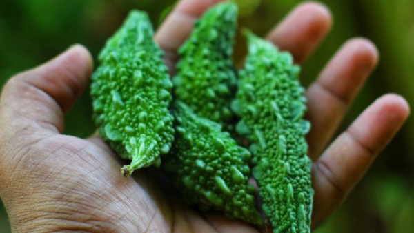 How does Karela help in hair growth?