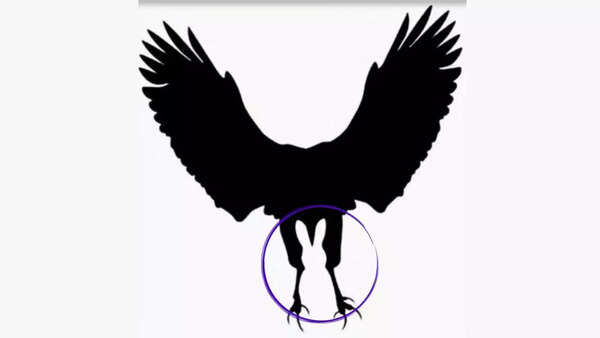 Optical illusion personality test
