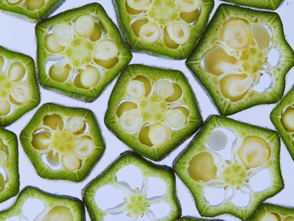 Drinking okra water with turmeric regularly helps reduce skin inflammation, enhance complexion, and may promote a healthy glow. Consistency in intake and skincare can lead to noticeable skin improvements. Achieving radiant skin with okra water