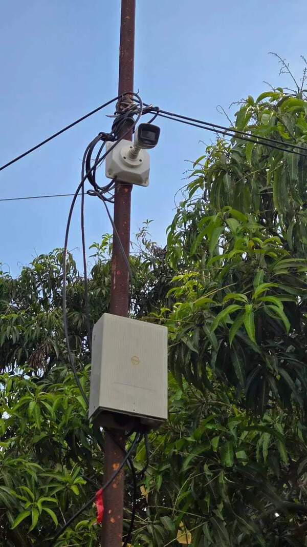 CCTV cameras have been installed in several orchards.