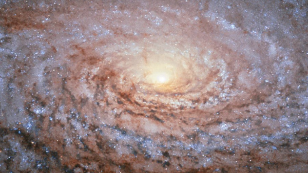Spiral glows with tangled ribbons of starlight that unfurl from a butter‑yellow core like petals (NASA)