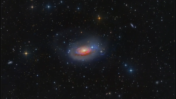 Sunflower Galaxy mirrors terrestrial life at a scale both incomprehensible and oddly familiar (NASA)