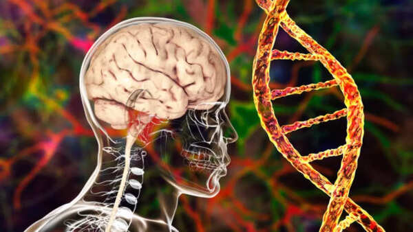 Image credits: Getty Images Creutzfeldt-Jakob disease is a neurodegenerative disorder