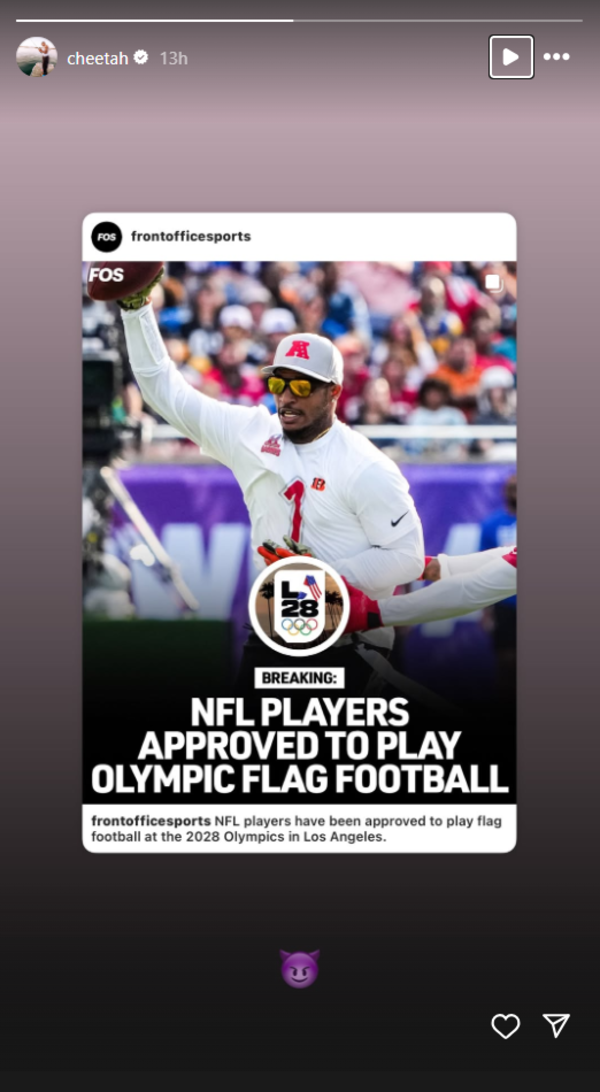 NFL-CHEETAH-2025