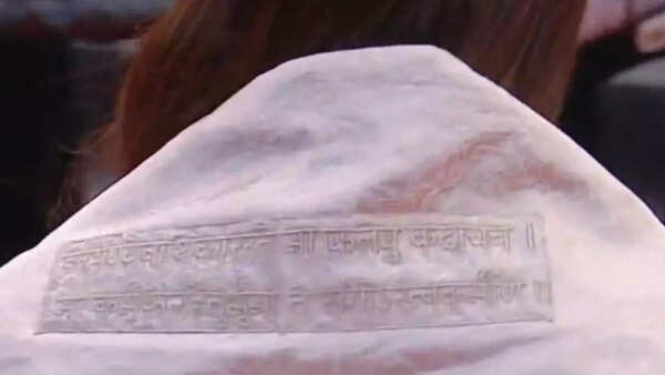 डीएस (14)