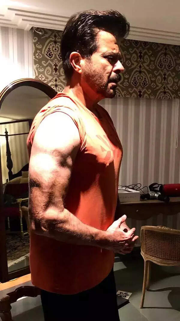 Anil