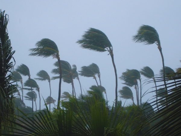 cyclone