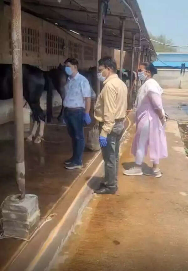 -