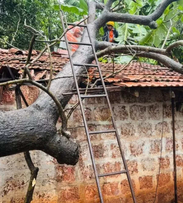 TOI