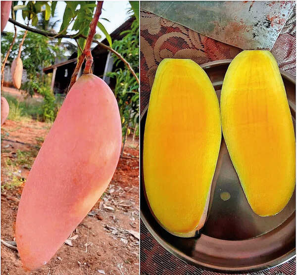 veliyath_gardens_