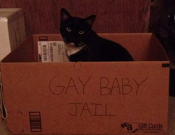 tumblr_ Gay Baby Jail