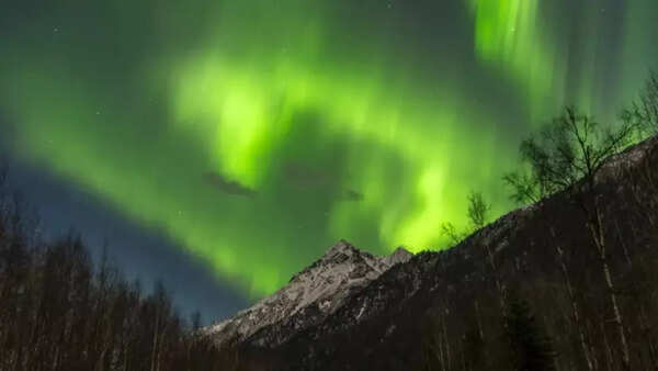 Aurora (1)