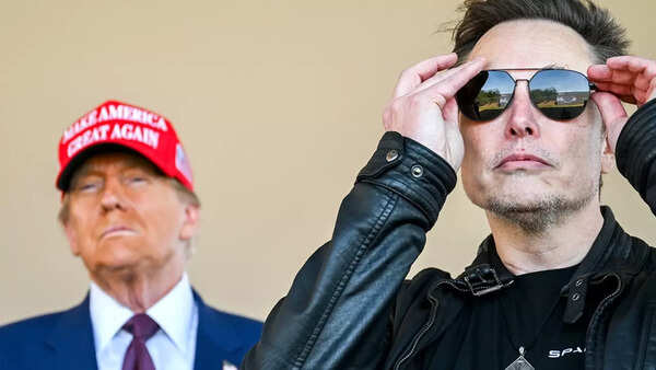 Musk (9)