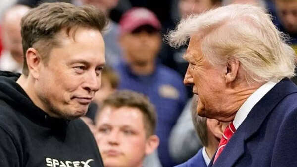 Musk (10)