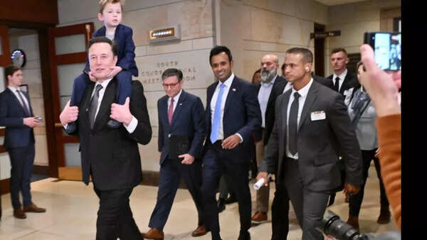 Musk (11)