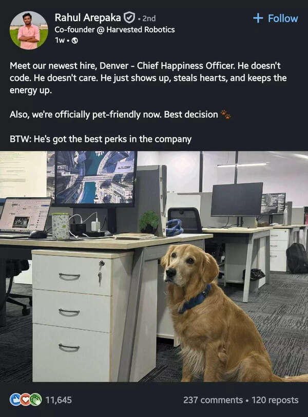 .