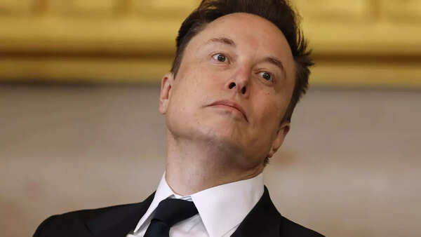 Musk (16)