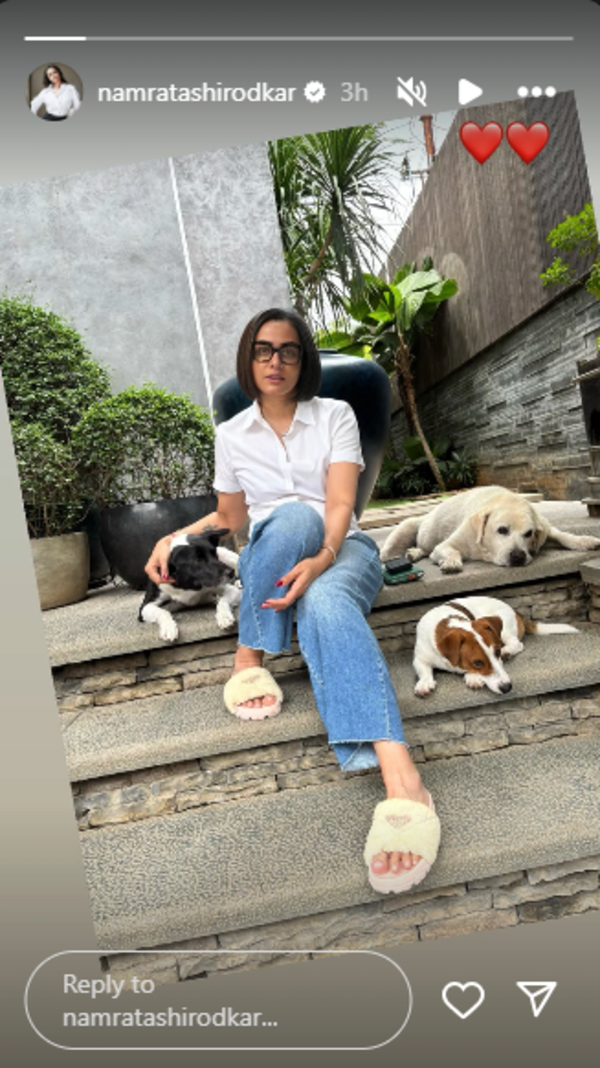 Namrata Shirodkar Instagram story