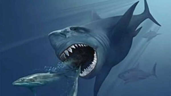 megalodon