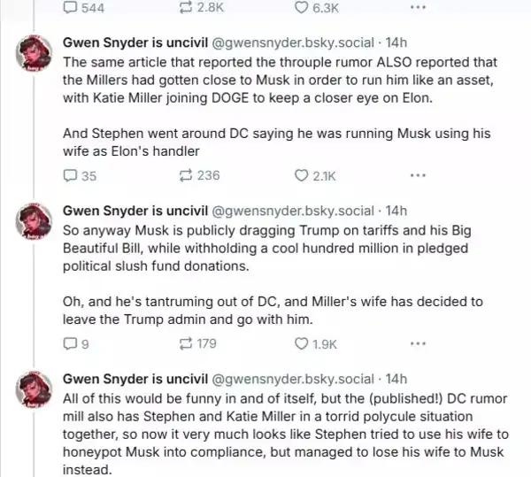 The Bluesky post on Katie Miller, Stephen Miller and Elon Musk went viral. The Bluesky post on Katie Miller, Stephen Miller and Elon Musk went viral.