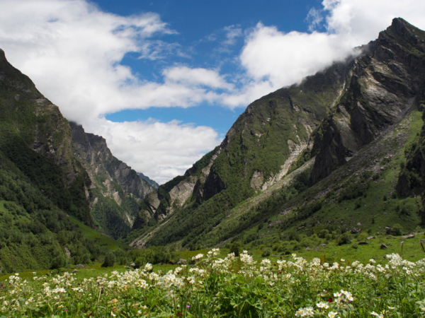 Valley of Flowers, Uttarakhand
