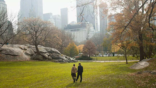 Roam around Central Park