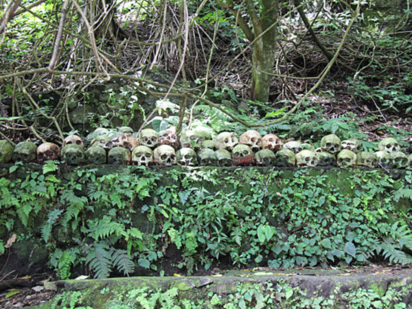Skull island