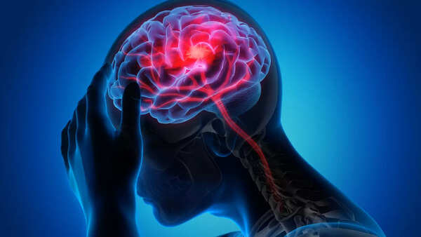 brain