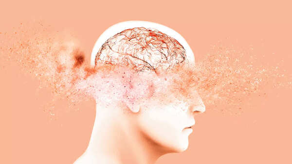 brain