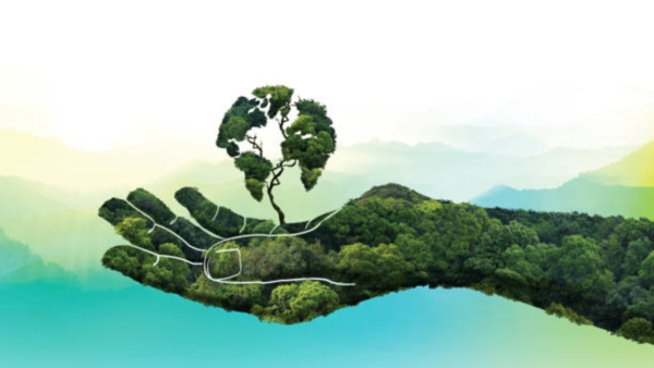 The official theme for World Environment Day 2025 is "Beat Plastic Pollution"