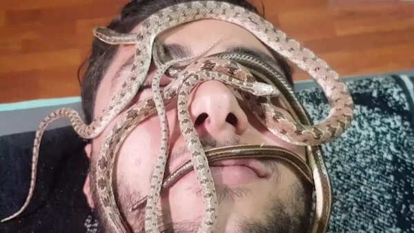 Snake massage – Israel and Indonesia