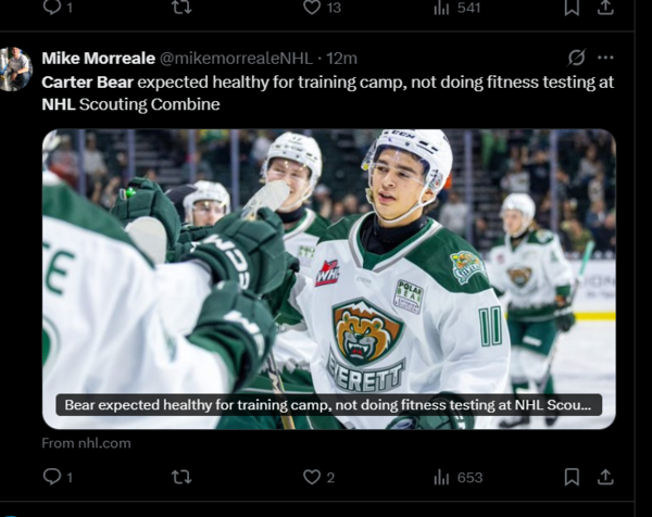 Carter Bear's NHL dream is still alive: skates ahead of schedule despite injury