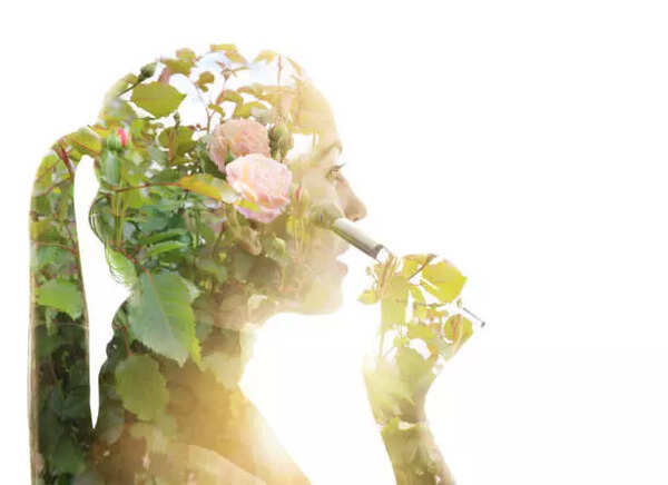 istockphoto-1164575324-612x612