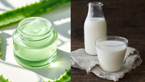 Aloe vera and milk to get rid of dark elbow