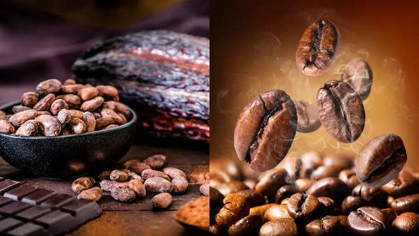 cocoa + coffee