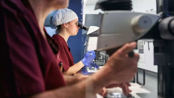 Company will provide the clients with a detailed report