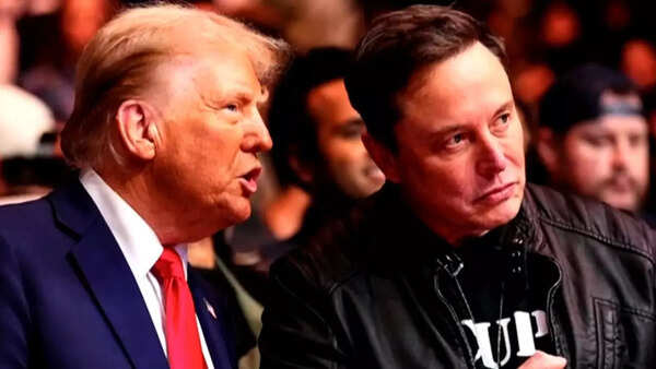 Musk party (3)