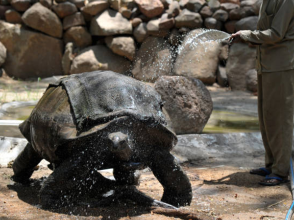 Hyderabad’s Nehru Zoo