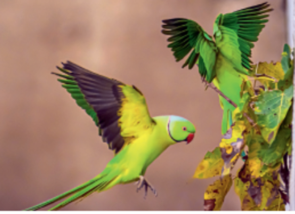 -