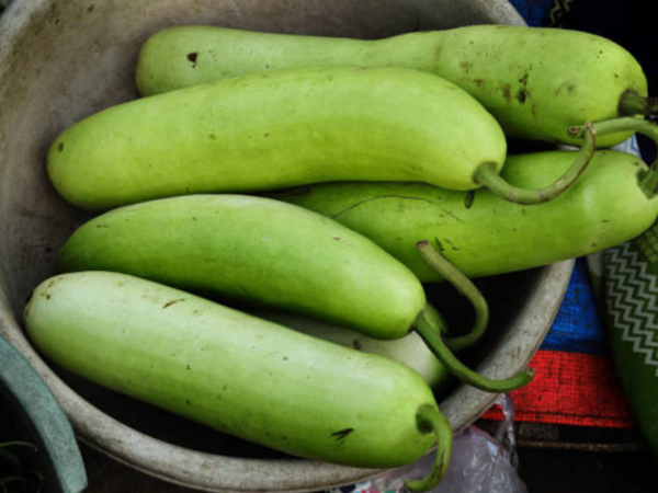 Bottle gourd may not sound glamorous, but it’s a low-cal, high-water veggie that’s perfect for weight loss. It’s gentle on digestion, helps flush out toxins, and keeps your stomach feeling light. Blend it into a juice, cook it with dal, or stuff it — it’s more versatile than it gets credit for. Lauki